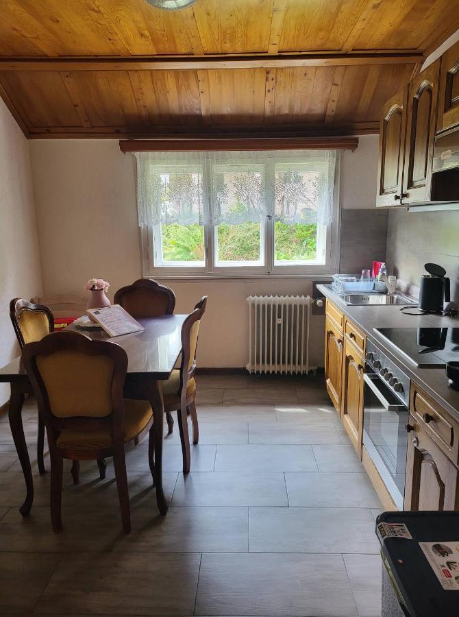 Ela Vital Ferienwohnung St. Blasien Zewnętrze zdjęcie